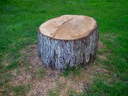 Best Lawn Dethatching  in Callahan, FL