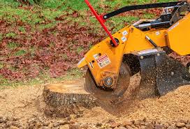 Callahan, FL Tree Removal Company